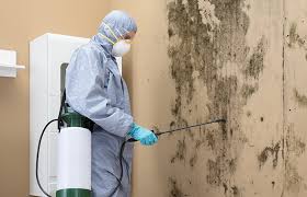 Best HVAC Mold Inspection and Cleaning  in Glespie, IL